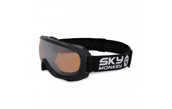 Очки горнолыжные Sky Monkey SR28 ORM 600_380