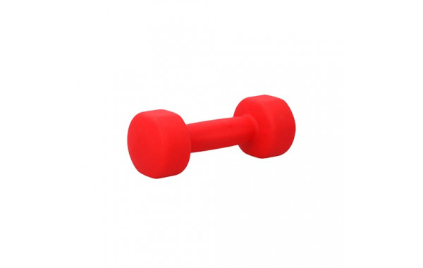 Гантель для аэробики неопреновая PRCTZ NEOPRENE DUMBBELL, 3 кг PS7115 600_380