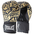 Перчатки тренировочные 16oz Everlast Spark P00002797 черный\золотой 120_120