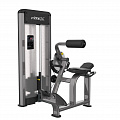 Разгибатель спины Fitex Pro FTX-61A17 120_120